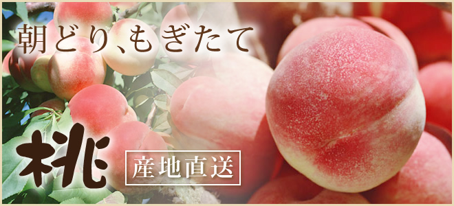 朝どり、もぎたて桃